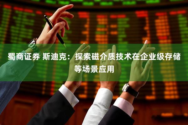 蜀商证券 斯迪克：探索磁介质技术在企业级存储等场景应用
