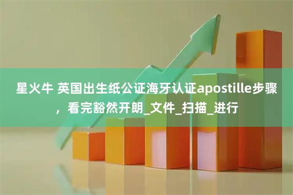 星火牛 英国出生纸公证海牙认证apostille步骤，看完豁然开朗_文件_扫描_进行